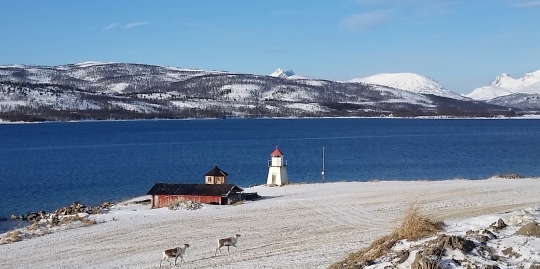Åker, fyrlykt, tamrein, fjord og fjell er ingredienser i Troms' varierte kystlandskap. Fra Slettnes ved Gisundet i Lenvik.